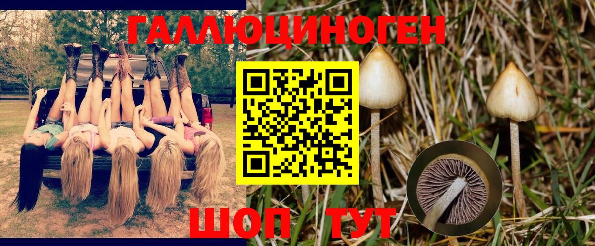 Нижний Новгород  Псилоцибиновые грибы мицелий  Псилоцибиновые грибы мицелий  Вход с VPN 